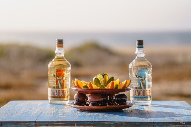Side by Side UTV Adventure and Tequila Tasting in Cabo - The Practical Side: What to Know