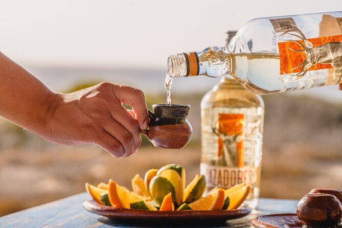 Side by Side UTV Adventure and Tequila Tasting in Cabo - Is This Tour Worth It?