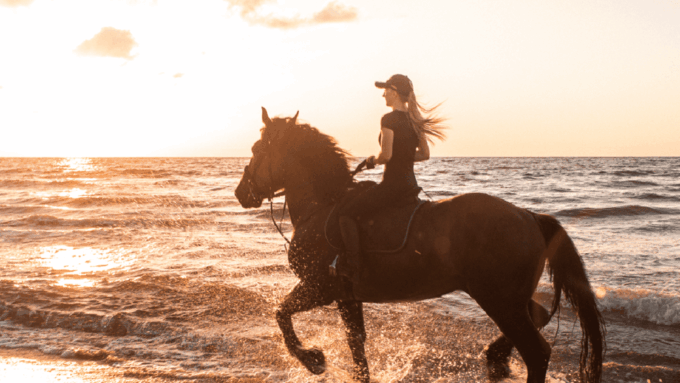 Side: Horseback Riding Tour in Nature With Transfer - Tips for a Great Experience