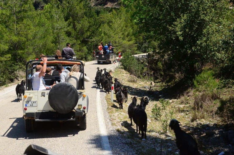 Side: Jeep Safari & Lion Safari with Lunch and Green Canyon - Who Will Love This Tour?