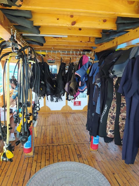 Side: Scuba Diving & Under Water Museum with Hotel Transfer - A Complete Look at the Experience