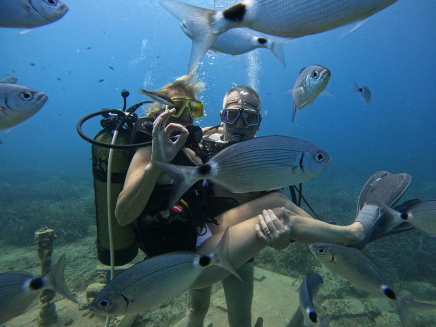 Side: Scuba Diving & Under Water Museum with Hotel Transfer - The Itinerary Breakdown