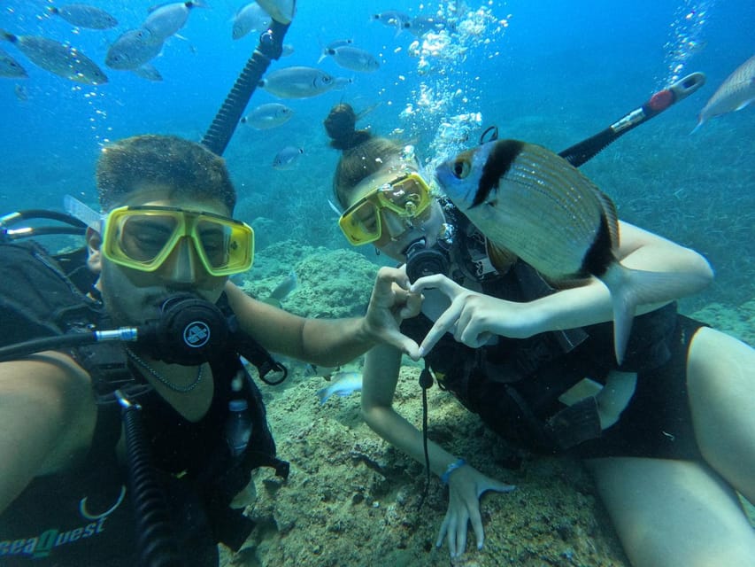 Side: Scuba Diving & Under Water Museum with Hotel Transfer - Practical Details and Tips
