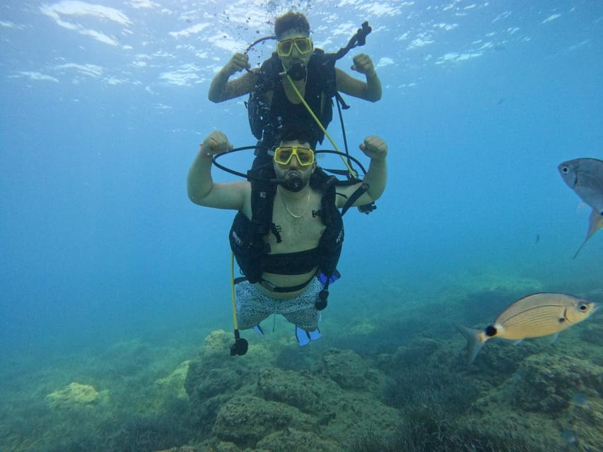 Side: Scuba Diving & Under Water Museum with Hotel Transfer - Frequently Asked Questions