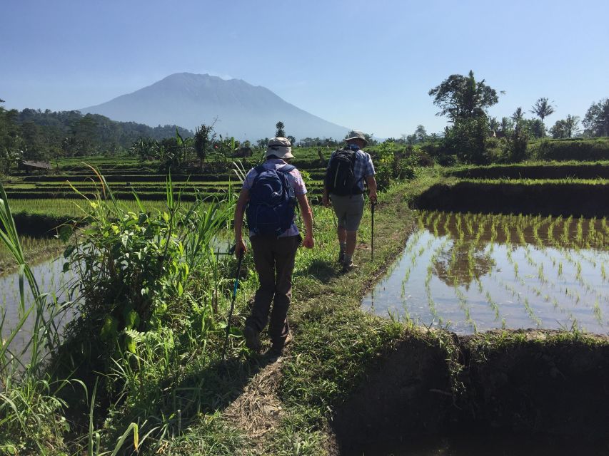 Sidemen/Bali: Rular Scene of Sidemen Trekking - Key Points