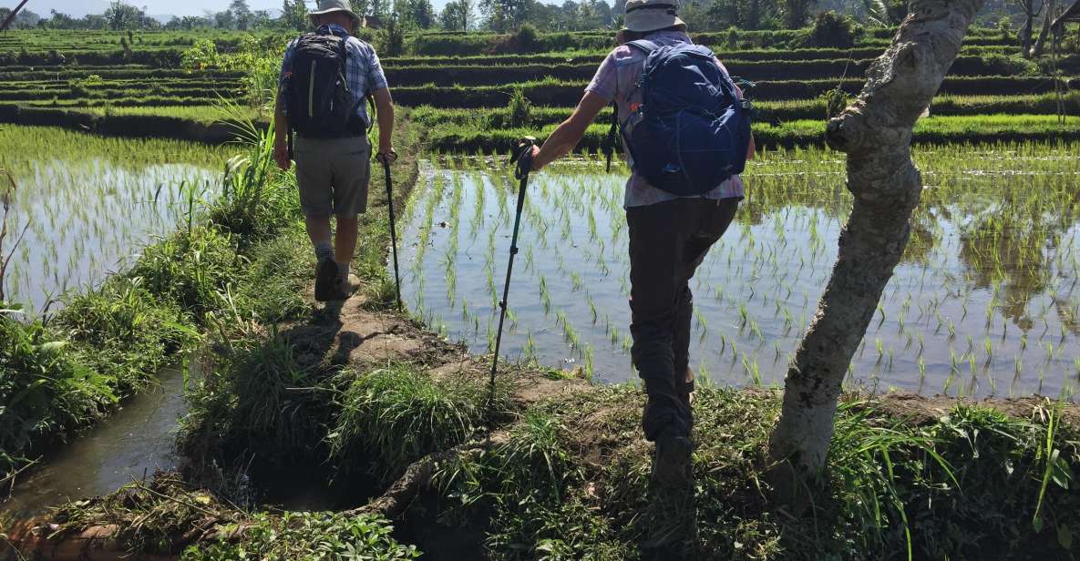 Sidemen/Bali: Rular Scene of Sidemen Trekking - Itinerary for the Trek