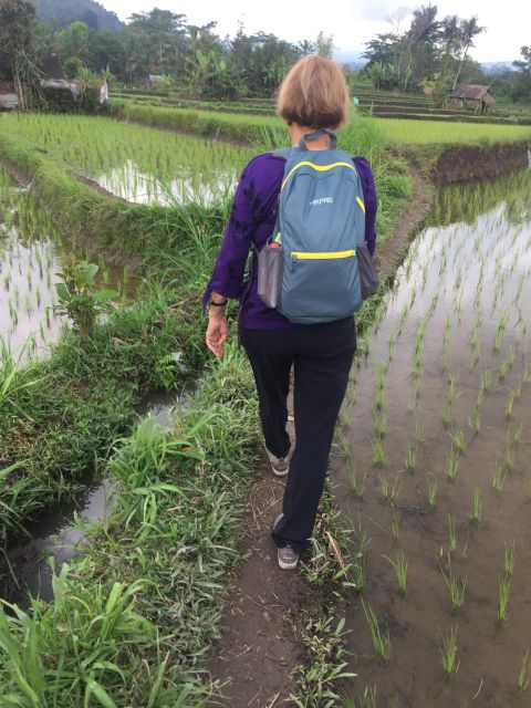 Sidemen/Bali: Rular Scene of Sidemen Trekking - Highlights of the Trek