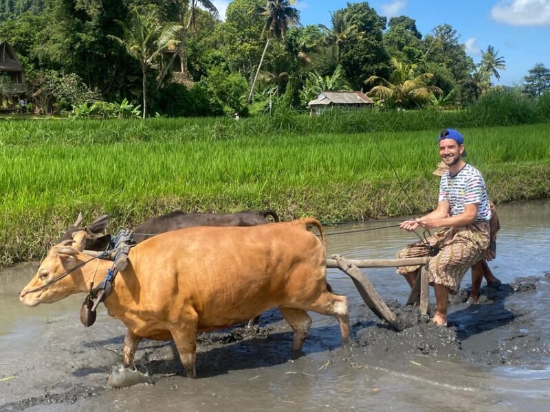 Sidemen: Balinese Traditional Activities - Activity Descriptions