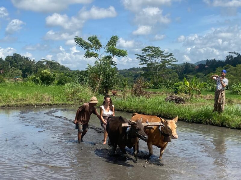 Sidemen: Balinese Traditional Activities - Pickup Locations