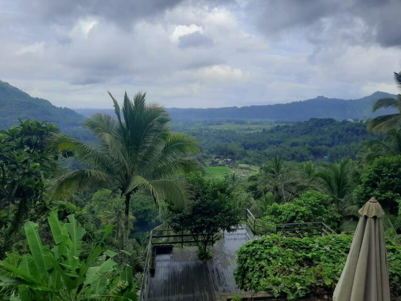 Sidemen: Rice Terraces and Hidden Waterfall - Itinerary