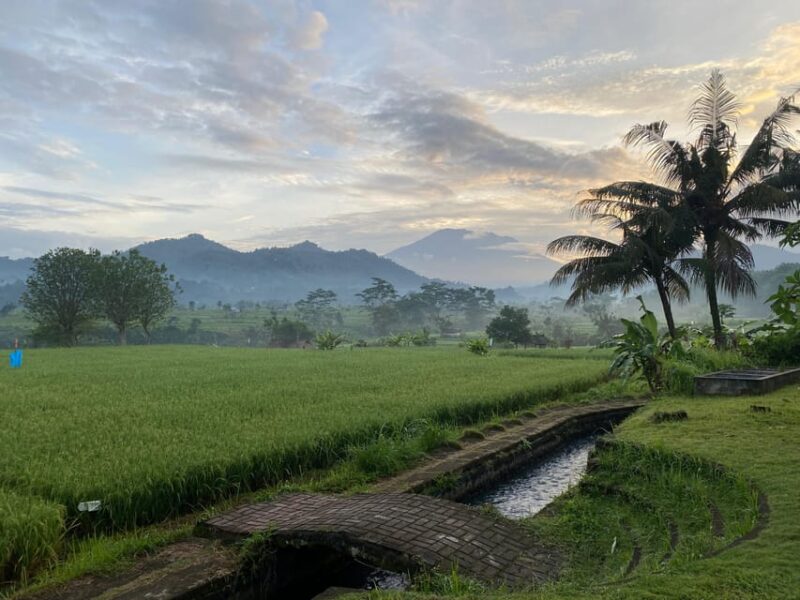 Sidemen: Rice Terraces and Hidden Waterfall - Inclusions