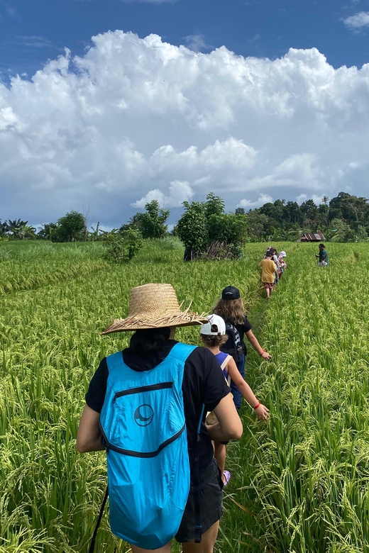 Sidemen: Rice Terraces and Hidden Waterfall - Highlights