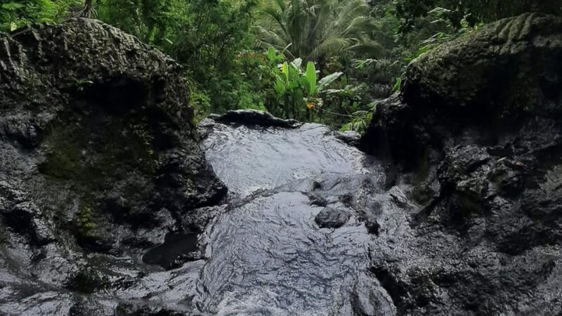 Sidemen: Rice Terraces and Hidden Waterfall - Important Information