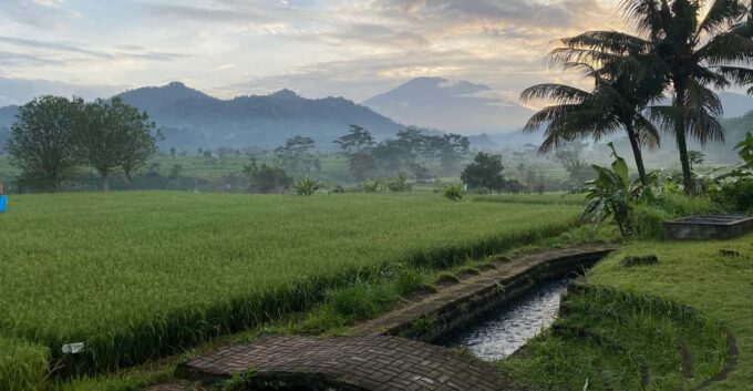Sidemen: Rice Terraces and Hidden Waterfall - Pickup and Drop-off