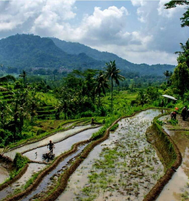 Sidemen Trekking: A Walk from Different Perspective - The Introductory Market and Village Scene