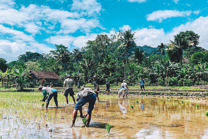 Sidemen Trekking: a Walk From Different Perspective - Booking and Cancellation Policies