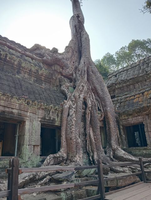 Siem Reap: 1-Day Angkor Wat Tour in Portuguese - FAQs
