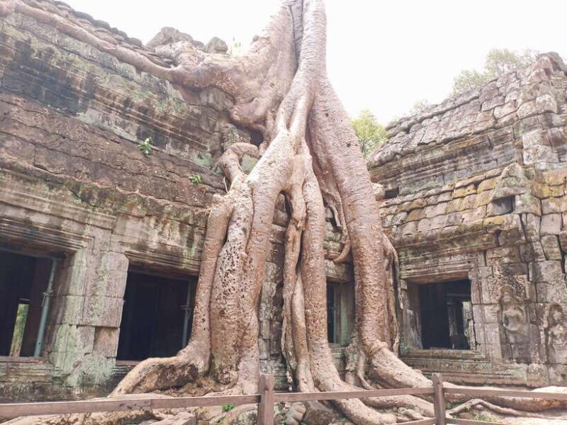 Siem Reap: 4 Hour-Ta Prohm and Banteay Kdei Guided Tour - A Closer Look at Each Stop