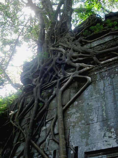 Siem Reap: 8-Hour Forgotten Treasures Motorbike Tour - Final Thoughts