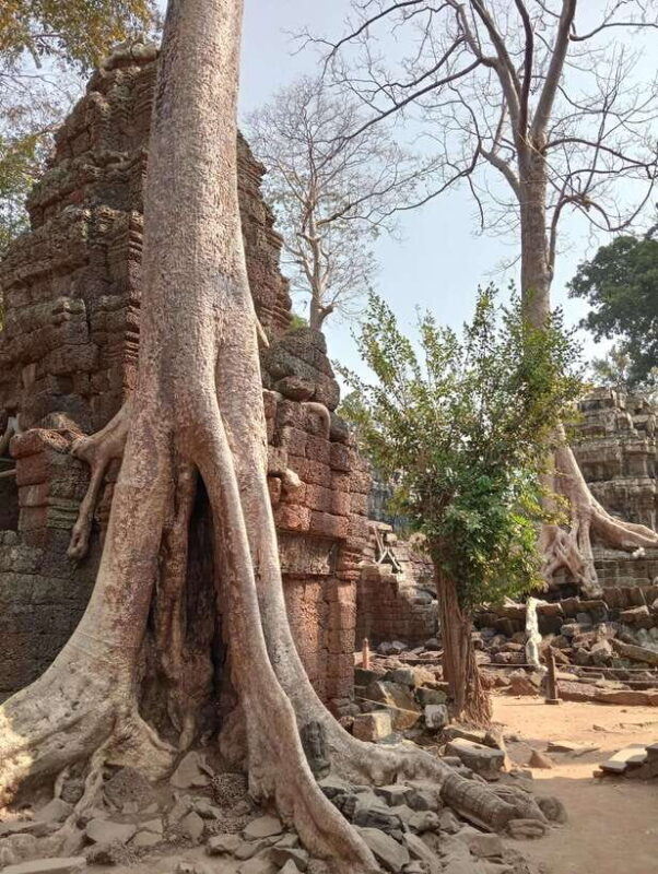 Siem Reap: Angkor Full-Day Group Tour with Japanese Guide - Who Will Love This Tour?