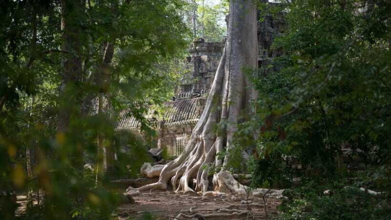 Siem Reap: Angkor Temples Off-Track Bicycle Tour - FAQs
