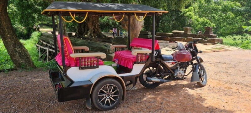 Siem Reap: Angkor Temples Tour by a Private Tuk Tuk - Final Thoughts: Who Will Love This Tour?