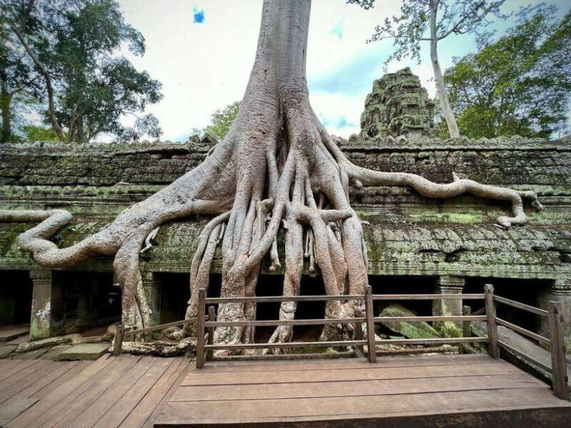 Siem Reap: Angkor Wat Admission Ticket - A Deep Dive into the Experience
