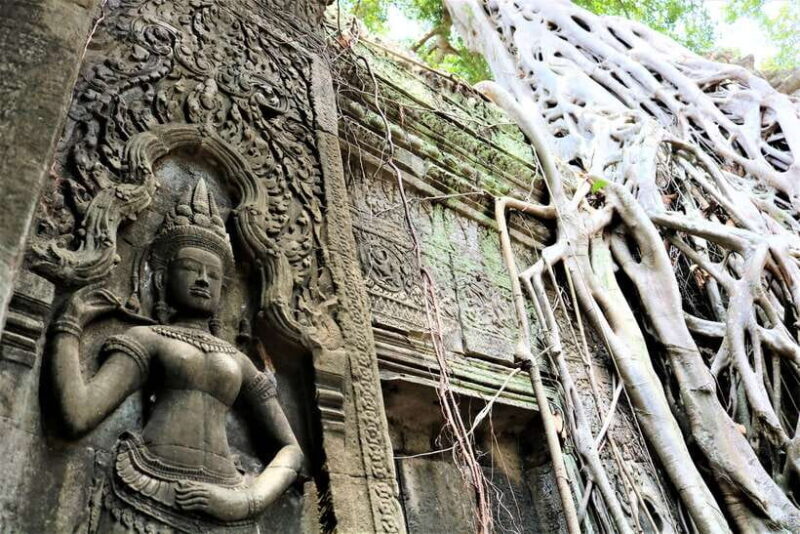 Siem Reap: Angkor Wat with German or English Guided Tour - The Experience in Action