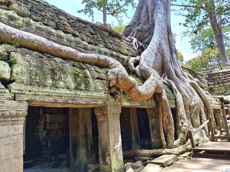 Siem Reap: Angkor Wat with German or English Guided Tour - Practical Tips