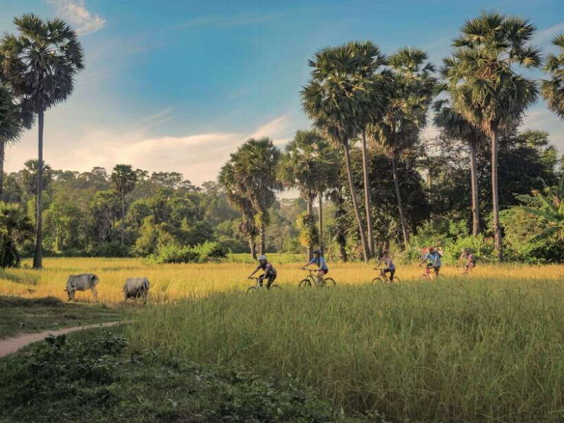 Siem Reap: Countryside Guided Tour by Bike and E-Bike - Introduction