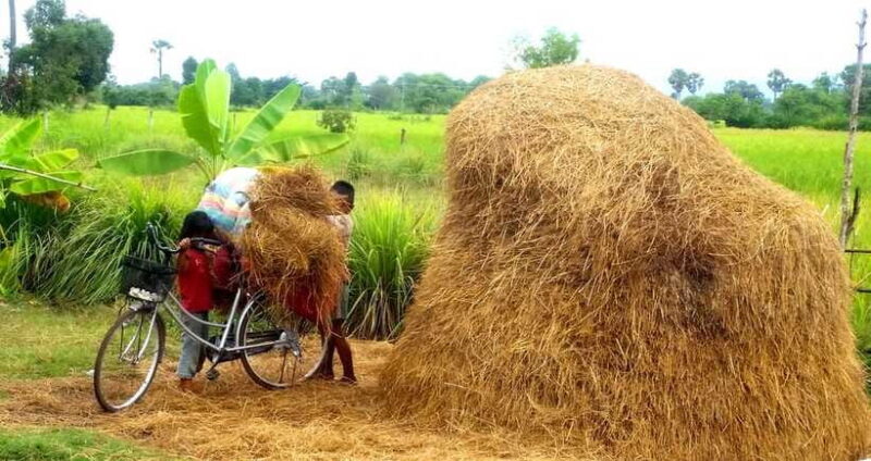 Siem Reap: Countryside Jeep Tour 3 hours - The Sum Up: Is This Tour Right for You?