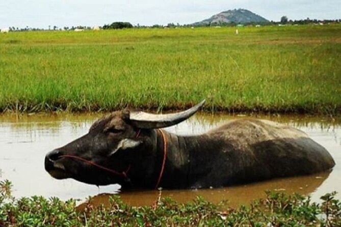 Siem Reap Countryside Sunset Jeep Tour - Half-day - Cultural Interactions