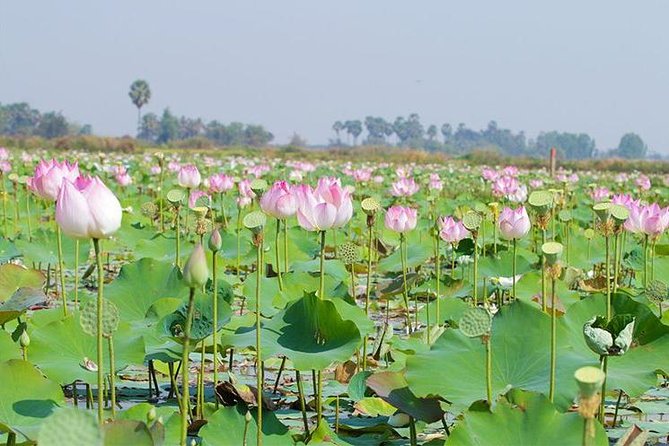 Siem Reap Countryside Sunset Jeep Tour - Half-day - Customer Feedback and Reviews