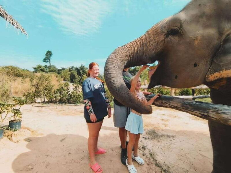 Siem Reap: Elephant Sanctuary Included Hotel Pickup Drop-off - An Honest Look at the Siem Reap Elephant Sanctuary Tour