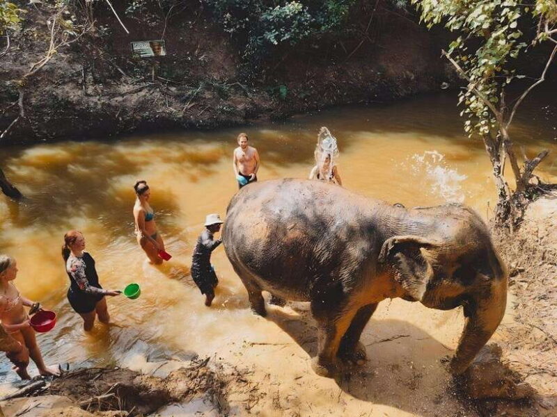 Siem Reap: Elephant Sanctuary Included Hotel Pickup Drop-off - Authentic Experiences and Authenticity
