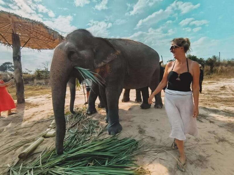 Siem Reap: Elephant Sanctuary Included Hotel Pickup Drop-off - FAQs
