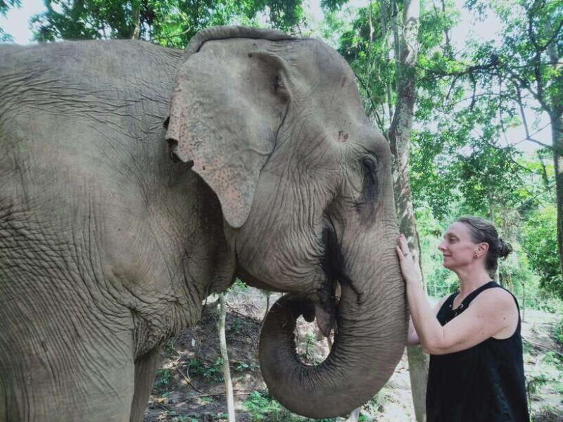 Siem Reap: Elephants & Apopo Rat Demining Private Trip - A Clearer Look: What to Expect from This Tour