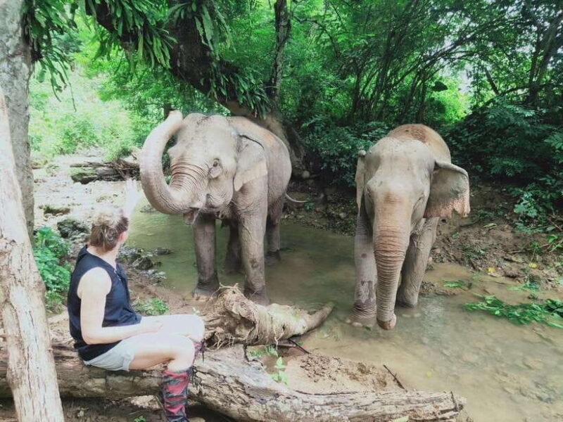 Siem Reap: Elephants & Apopo Rat Demining Private Trip - Why This Tour Offers Good Value