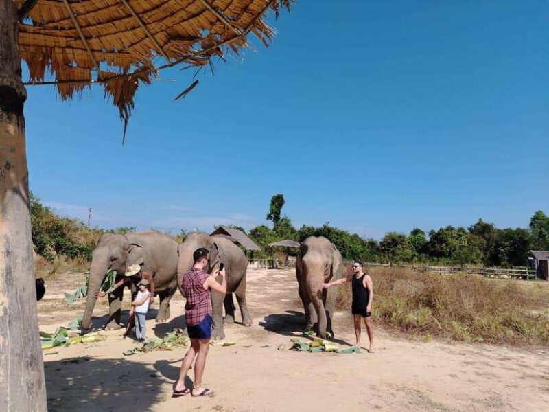Siem Reap: Elephants & Apopo Rat Demining Private Trip - Who Will Love This Experience?