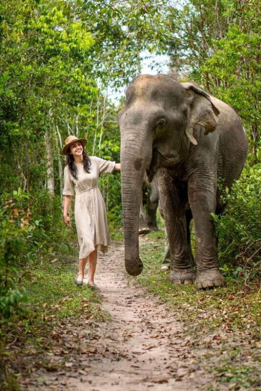 Siem Reap: Kulen Elephant Forest Guided Tour - Food, Rest, and Reflection