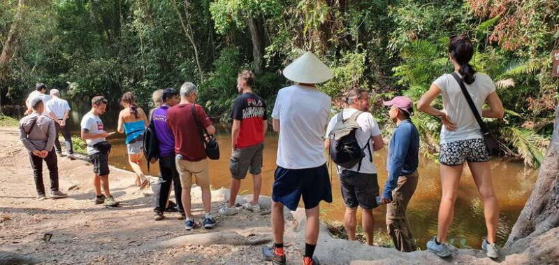 Siem Reap: Kulen Elephant Forest Guided Tour - Pricing and Value