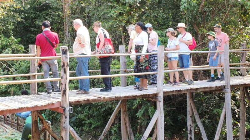 Siem Reap: Kulen Elephant Forest Guided Tour - The Sum Up