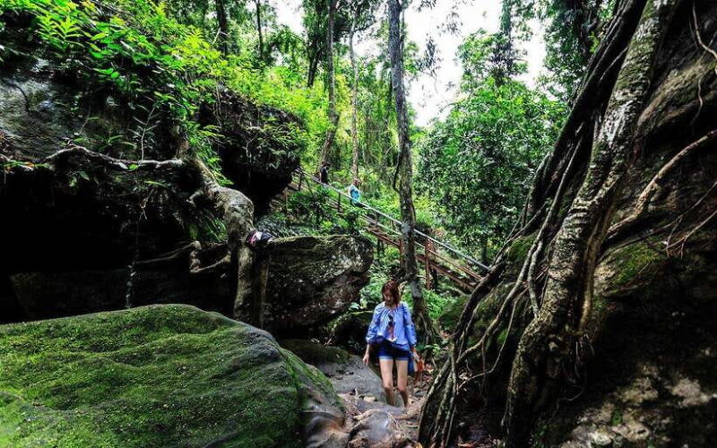 Siem Reap: Kulen Waterfall & 1000 Lingas Day Tour with Lunch - Reviews: Authentic Perspectives