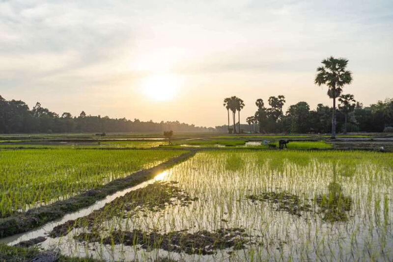 Siem Reap: Off-Road Ride Haft Day Tour - Who Will Love This Tour?