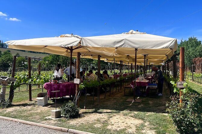 Siena and San Gimignano from Rome: Private Wine Tour in Tuscany - Wine Tasting at Tenuta Torciano