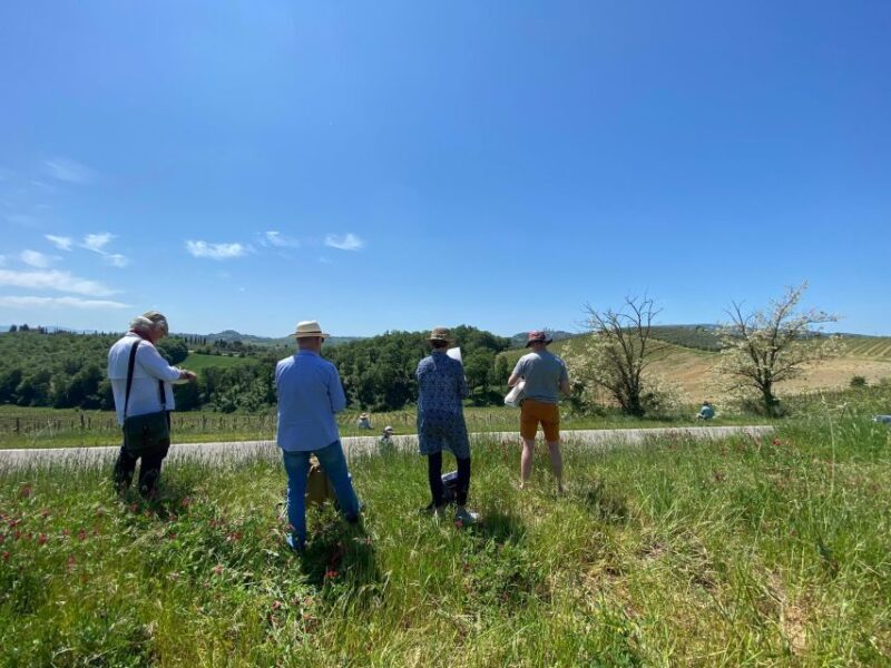 Siena and San Gimignano Tour by van from Lucca or Pisa - FAQs