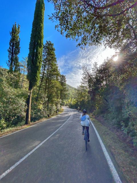 Siena: Chianti Classico Guided Cycling Tour - In The Sum Up: Is This Tour Worth It?
