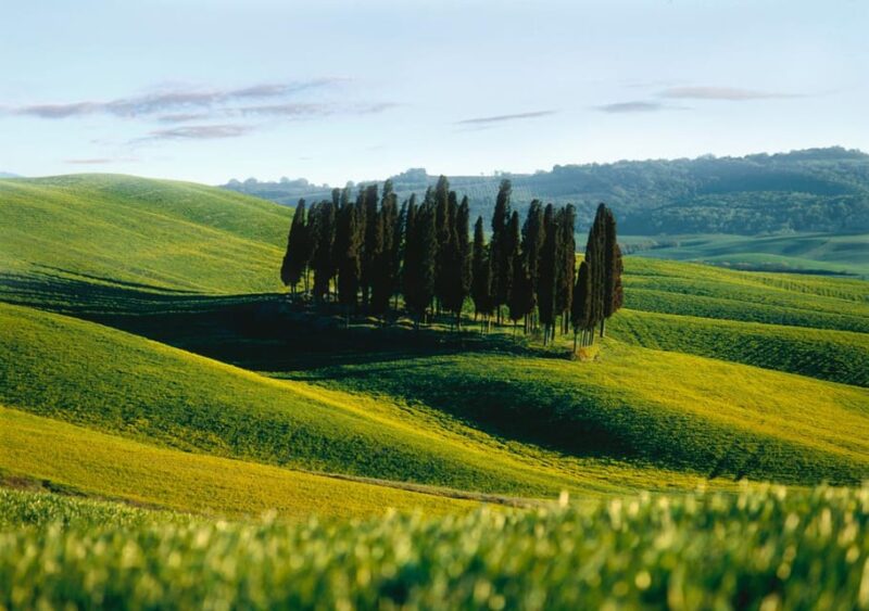 Siena: City Tour in German - Tour Highlights