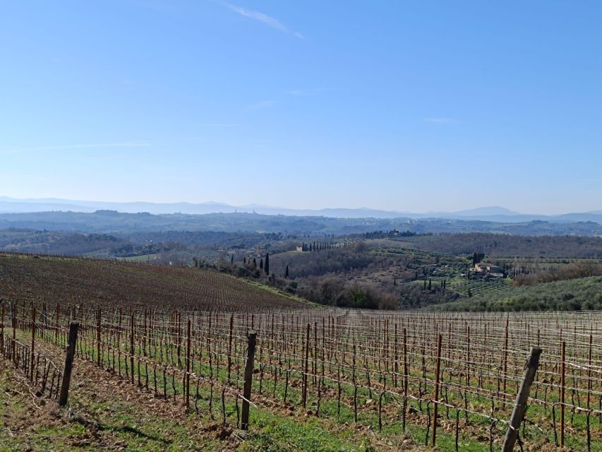 Siena: E-Bike Tour in the Chianti Senese With Lunch - Tour Requirements