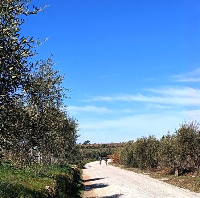 Siena: E-Bike Tour in the Chianti Senese With Lunch - Frequently Asked Questions